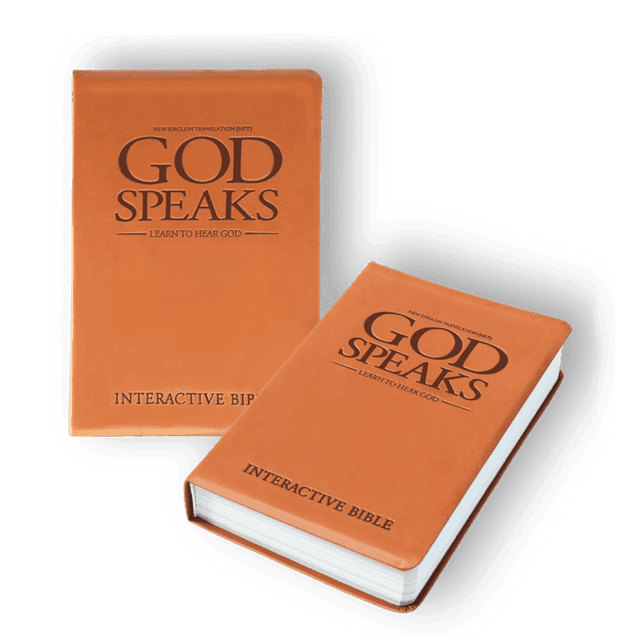God Speaks Bible, Imitation Leather, Tan